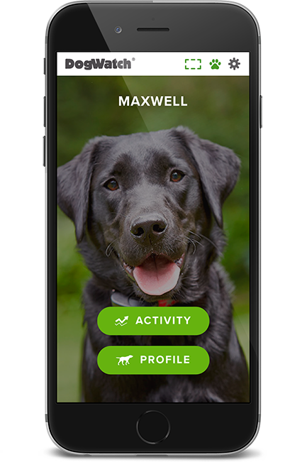 DogWatch of Idaho, Twin Falls and Boise, Idaho | SmartFence WebApp Image