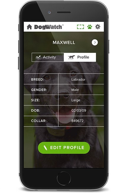 DogWatch of Idaho, Twin Falls and Boise, Idaho | SmartFence WebApp Image