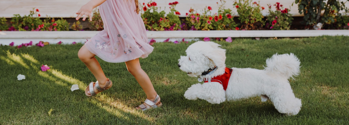 DogWatch of Idaho, Twin Falls and Boise, Idaho | Outdoor Hidden Dog Fences Slider Image